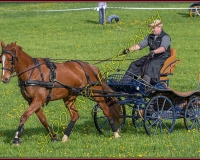 1POSIEUX 0077